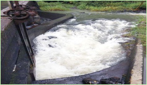 Court cuts East Maui water diversions again | News, Sports, Jobs