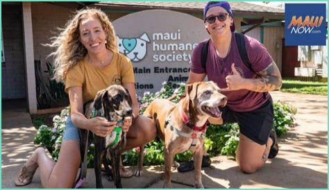 Maui Humane Society names new CEO | News, Sports, Jobs