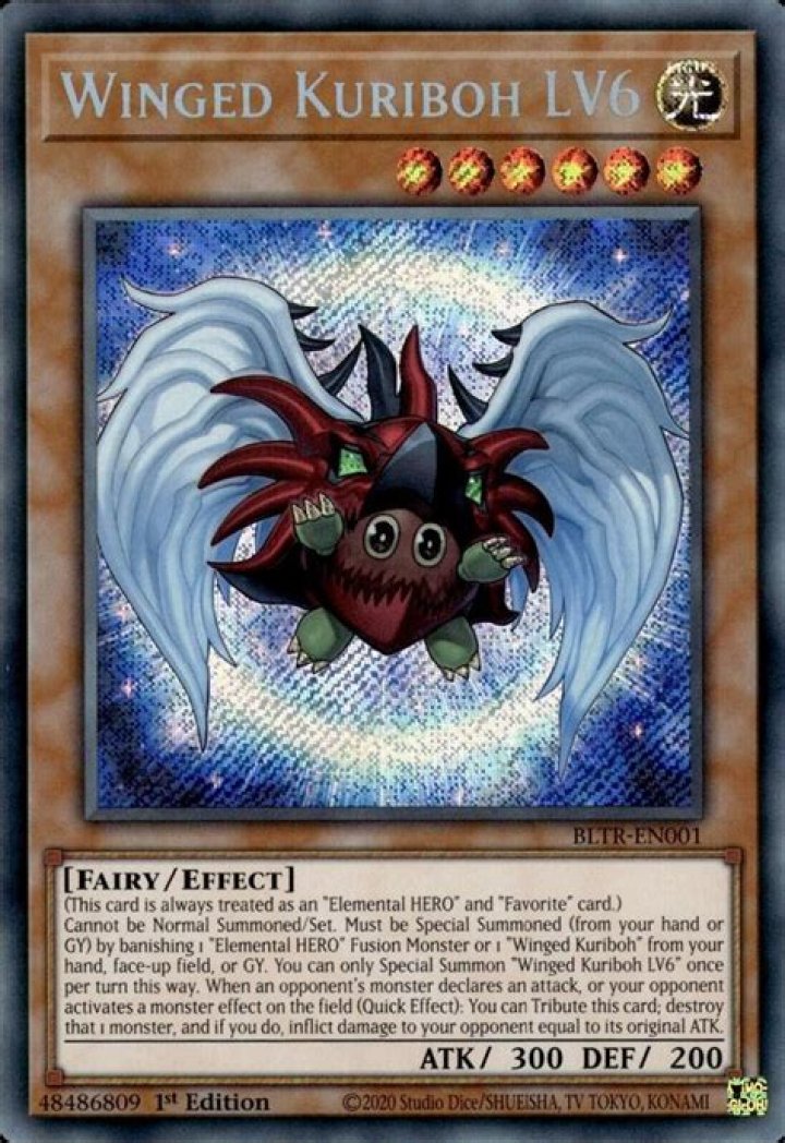 Little Kuriboh Youtuber overview